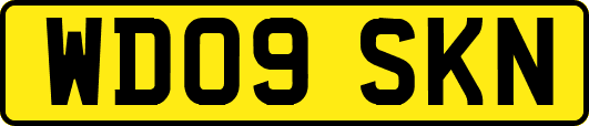 WD09SKN
