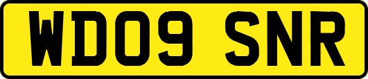 WD09SNR