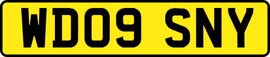 WD09SNY
