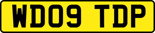 WD09TDP