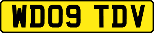 WD09TDV