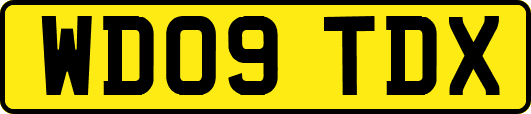 WD09TDX