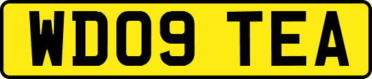 WD09TEA