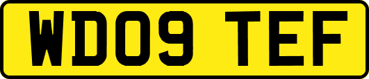 WD09TEF