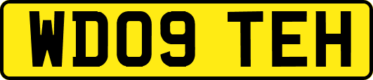 WD09TEH