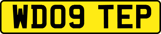 WD09TEP