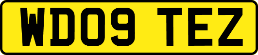 WD09TEZ