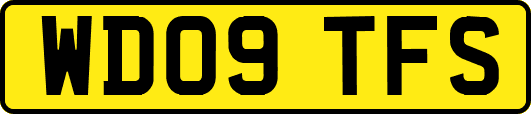 WD09TFS