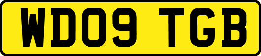WD09TGB