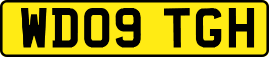 WD09TGH