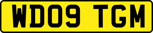 WD09TGM