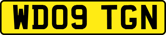 WD09TGN