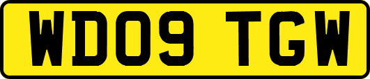 WD09TGW