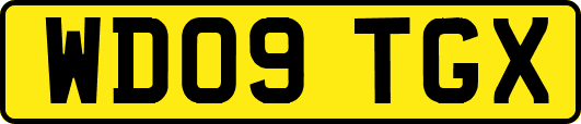 WD09TGX