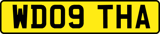 WD09THA