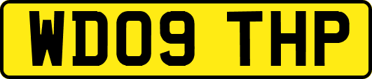 WD09THP
