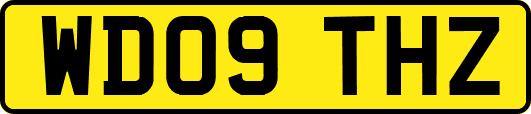 WD09THZ