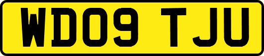 WD09TJU