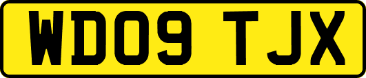 WD09TJX