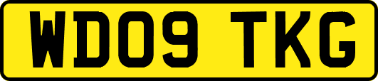 WD09TKG