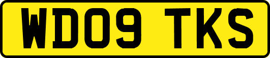 WD09TKS