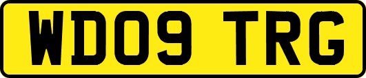 WD09TRG