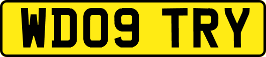 WD09TRY