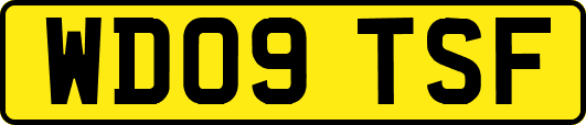 WD09TSF