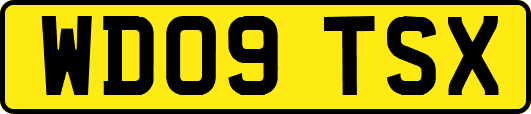 WD09TSX