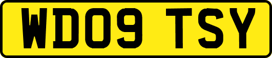 WD09TSY