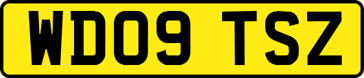 WD09TSZ