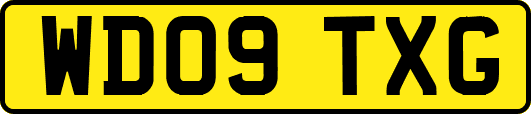 WD09TXG