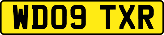 WD09TXR