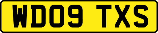 WD09TXS