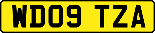WD09TZA