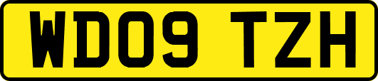 WD09TZH