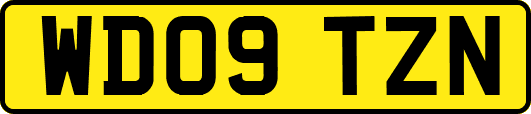 WD09TZN