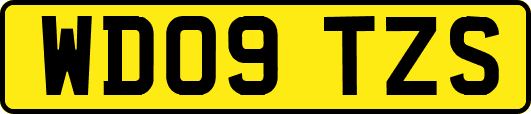 WD09TZS