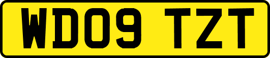WD09TZT