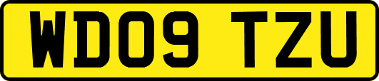 WD09TZU