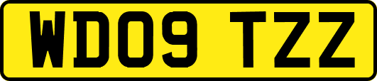 WD09TZZ