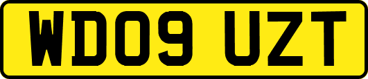WD09UZT