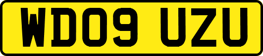 WD09UZU