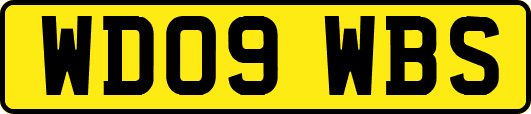 WD09WBS