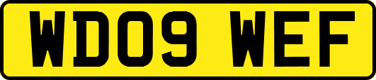 WD09WEF