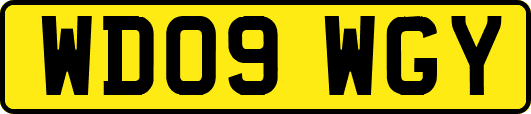 WD09WGY