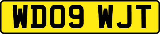 WD09WJT