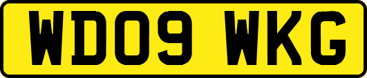 WD09WKG