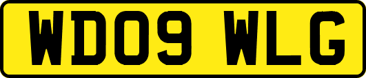 WD09WLG