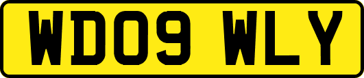 WD09WLY